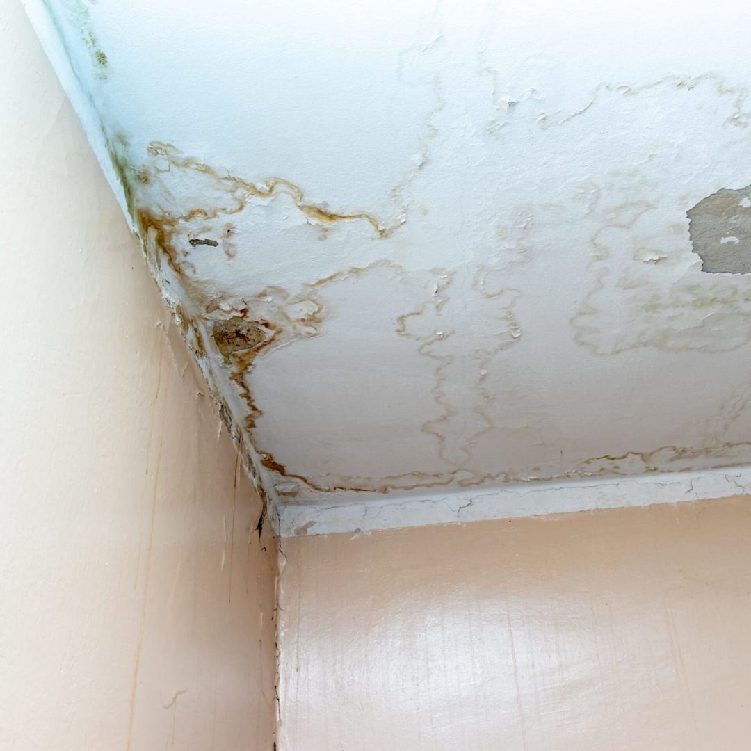 Plafon Berjamur karena lembab